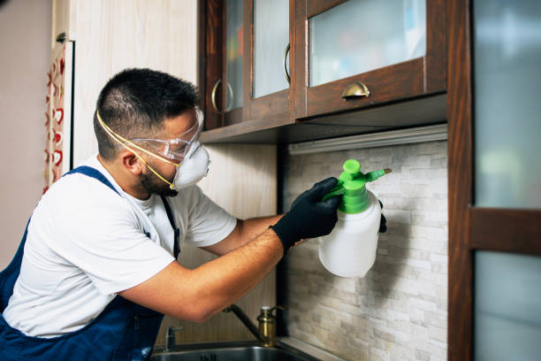 Best Commercial Pest Control Services  in Cleveland, MS
