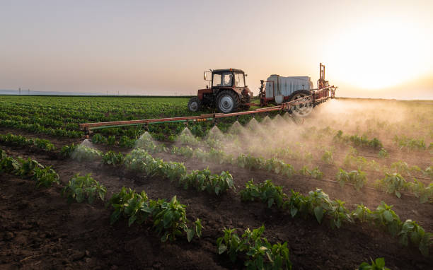 Best Mosquito Control Services  in Cleveland, MS
