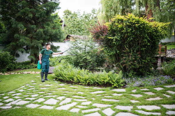Best Local Pest Control Services  in Cleveland, MS