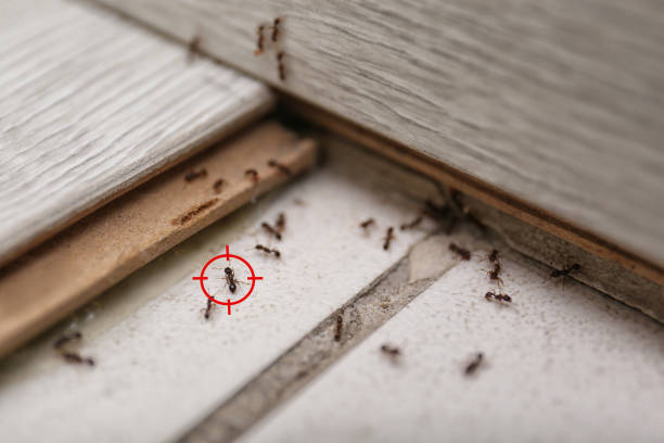 Best Exterminator Services  in Cleveland, MS