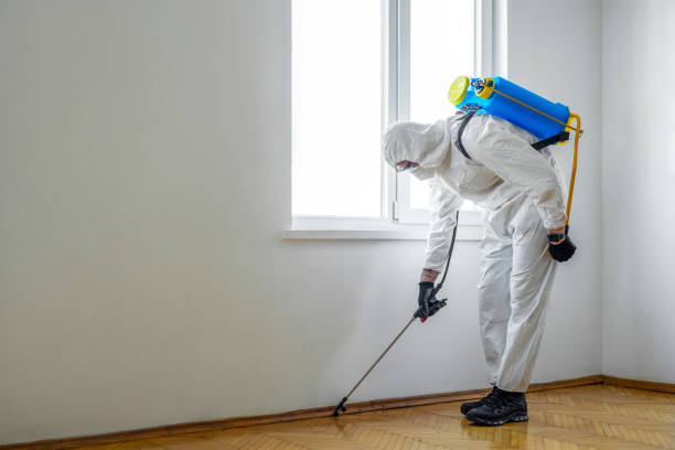 Pest Prevention Services in Cleveland, MS