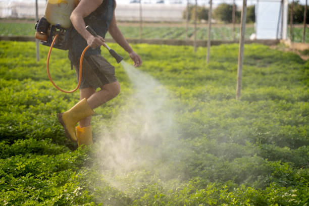 Best Affordable Pest Control Services  in Cleveland, MS