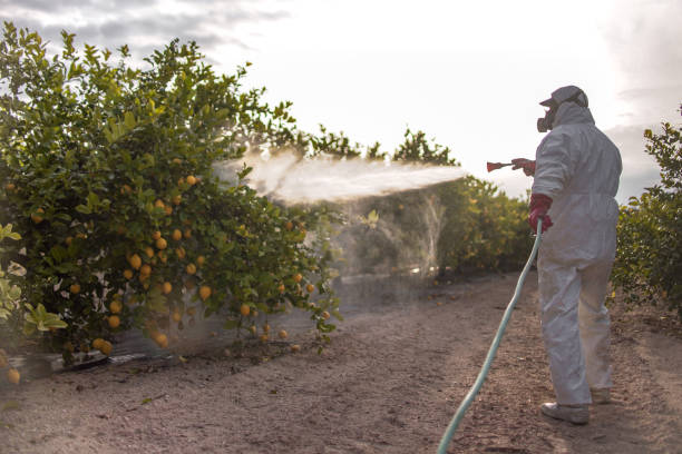 Professional Pest Control in Cleveland, MS