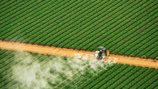 Best Pest Removal Services  in Cleveland, MS