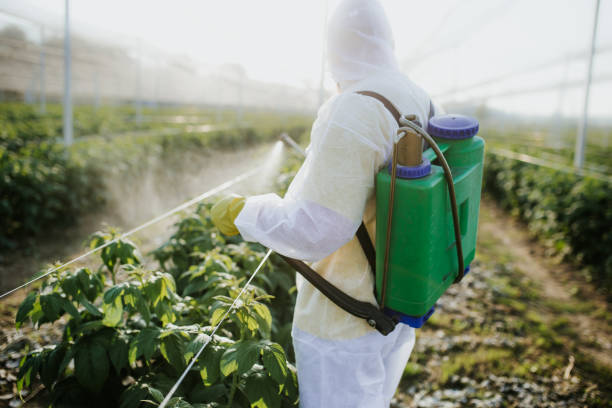 Best Pest Control for Homes  in Cleveland, MS